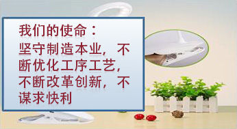 我們的使命：堅(jiān)守制造本業(yè)，不斷優(yōu)化工序工藝，不斷改革創(chuàng)新，不謀求快利